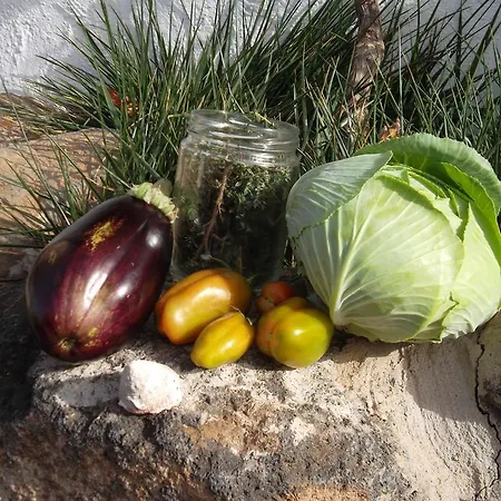 Casa di campagna Soleario La Oliva