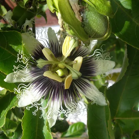 Casa di campagna Soleario