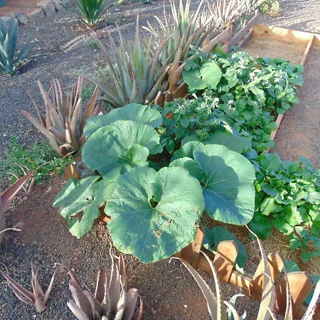 Casa di campagna Soleario