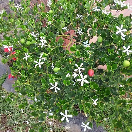 Casa di campagna Soleario