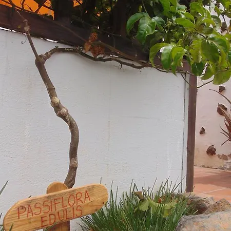 Soleario * La Oliva