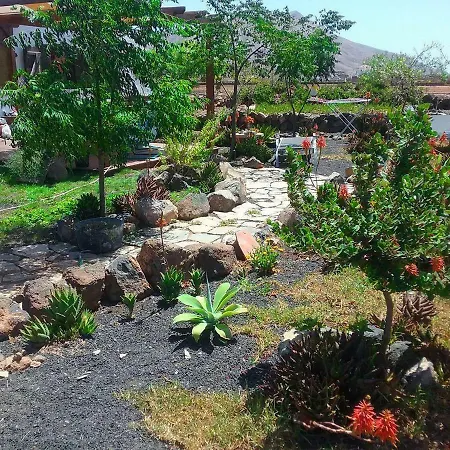 Soleario * La Oliva