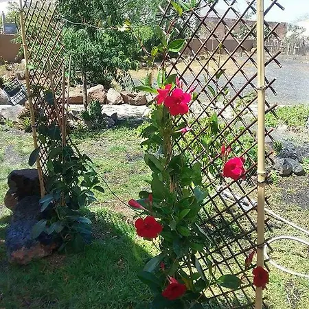 Soleario Casa rural La Oliva