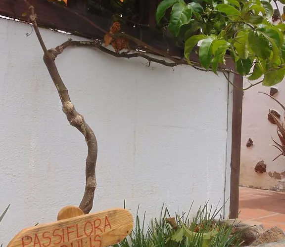 Soleario * La Oliva