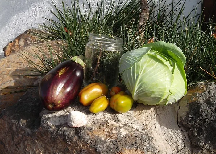 Landhuis Soleario La Oliva