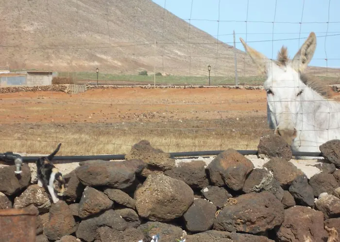 Landhuis Soleario La Oliva