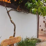 Soleario * לה אוליבה