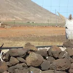 בית כפרי Soleario לה אוליבה