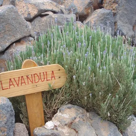 Hétvégi ház Soleario