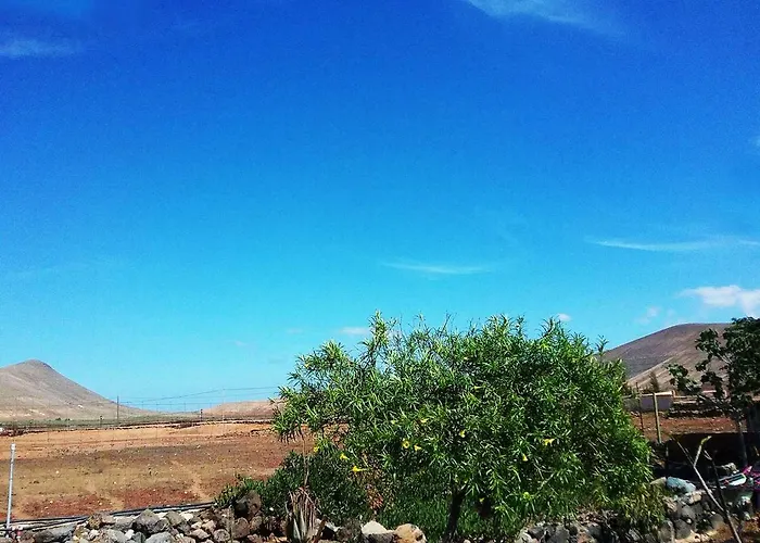 Летний дом Soleario Ла-Олива