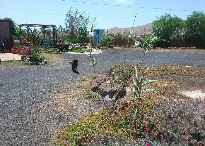 Летний дом Soleario