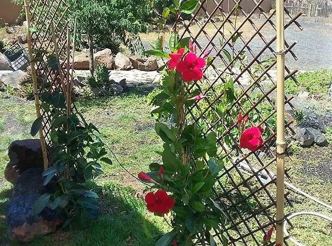 Soleario Landhuis La Oliva