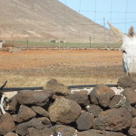 乡村民宿 索列里奥乡村民宿 拉·奥利瓦