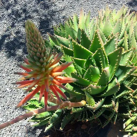 索列里奥乡村民宿